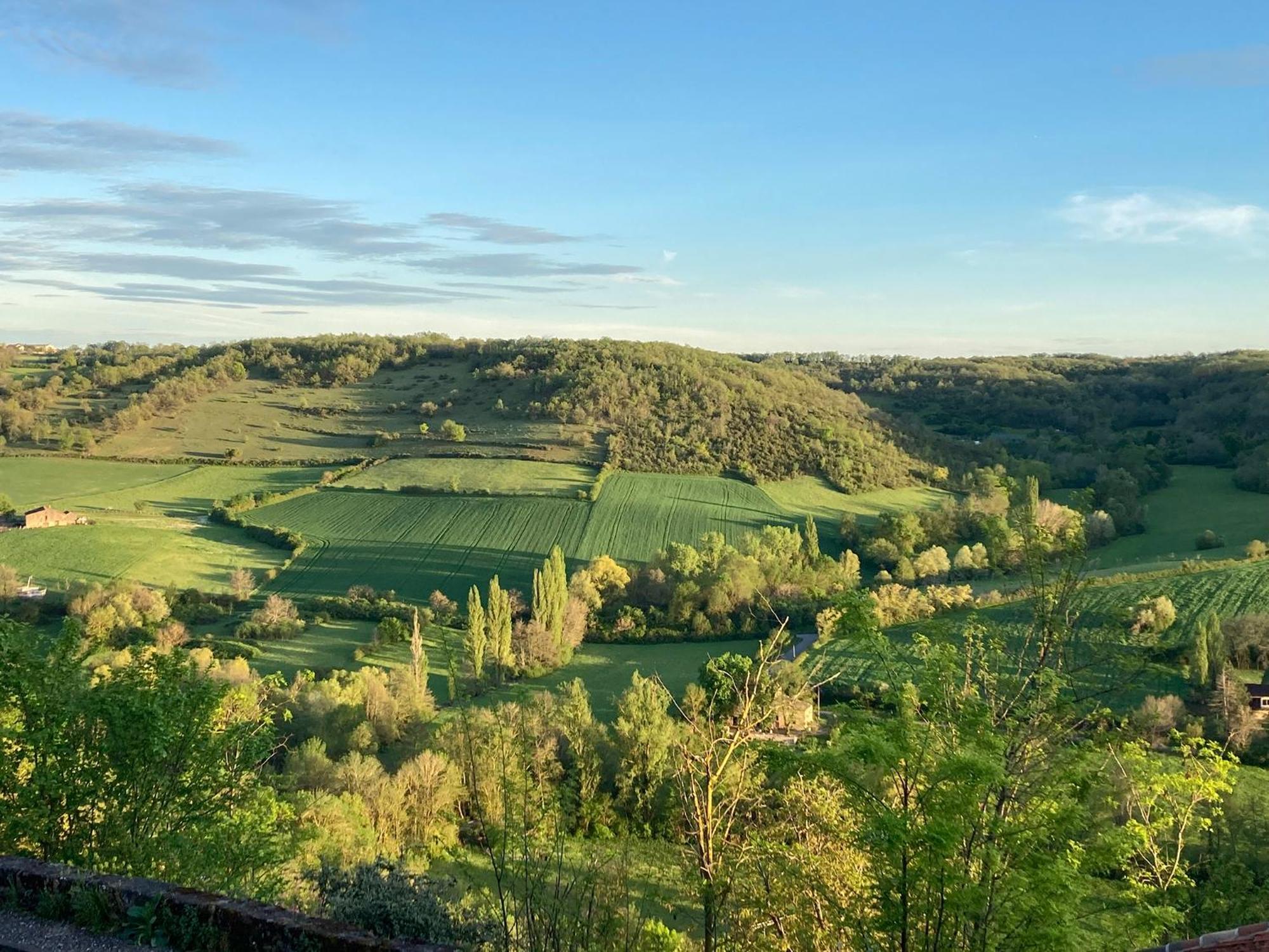 Le Secret Du Chat Cordes-sur-Ciel Exterior photo